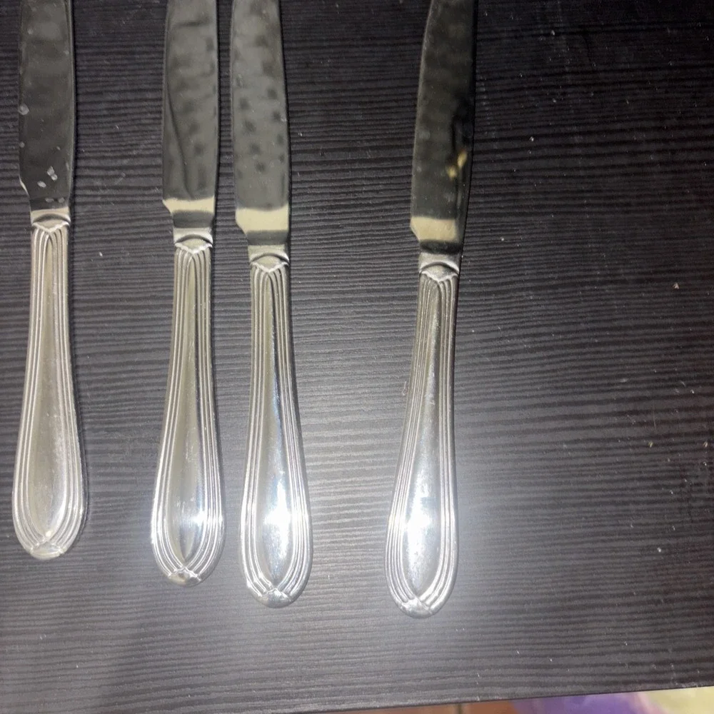 34 Piece Hampton Silversmith Stainless Steel Flat Ware Set